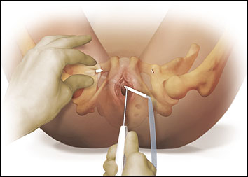 Close - up of a person's hands Description automatically generated with low confidence