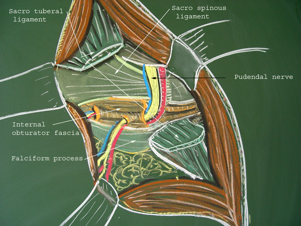 pudendal neuralgia