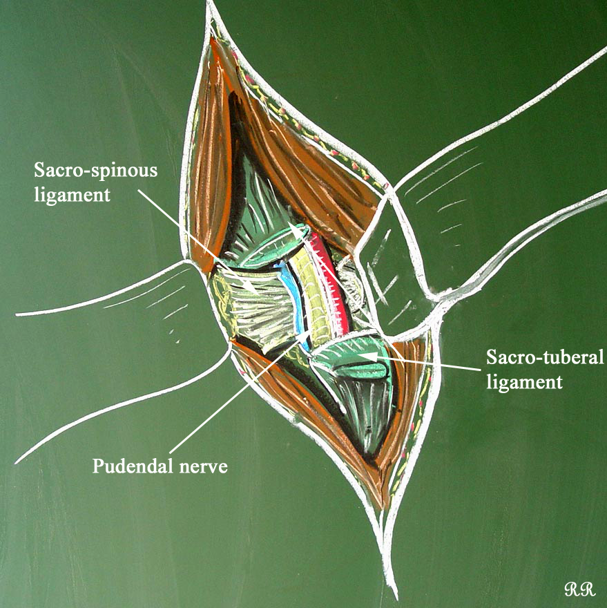 word image 10, Pelvic Pain Experts, AZCCPP