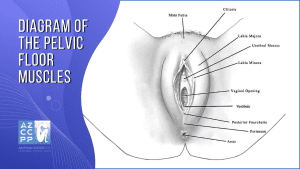 Vulvodynia - Vulvodynia Treatment - Pudendal Neuralgia - Biofeedback for Vulvodynia Treatment - AZCCPP